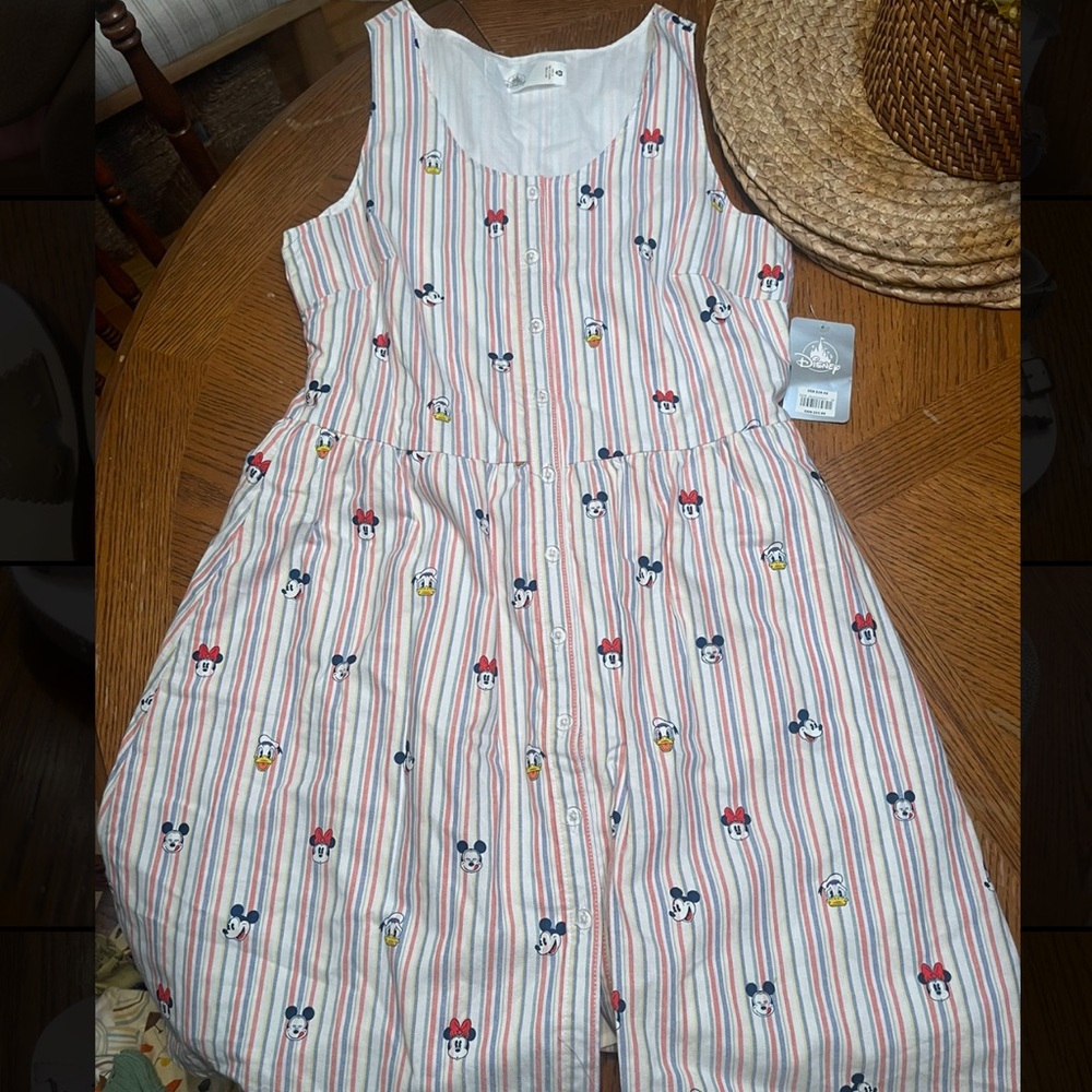 Disney Striped Dress